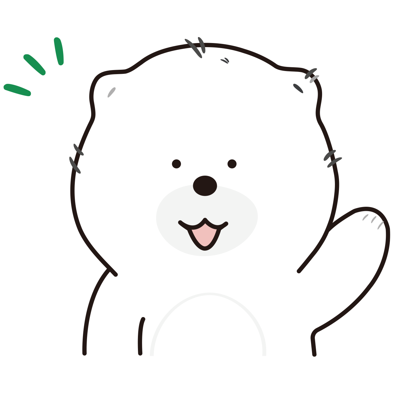 포코-기본